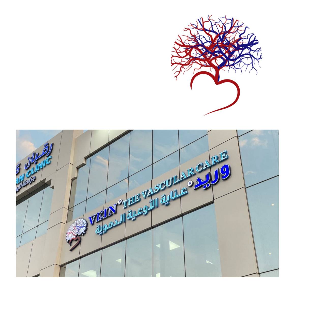 My Project Work Image